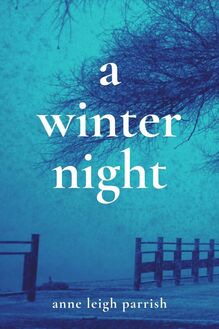 Book cover with blue winter scene