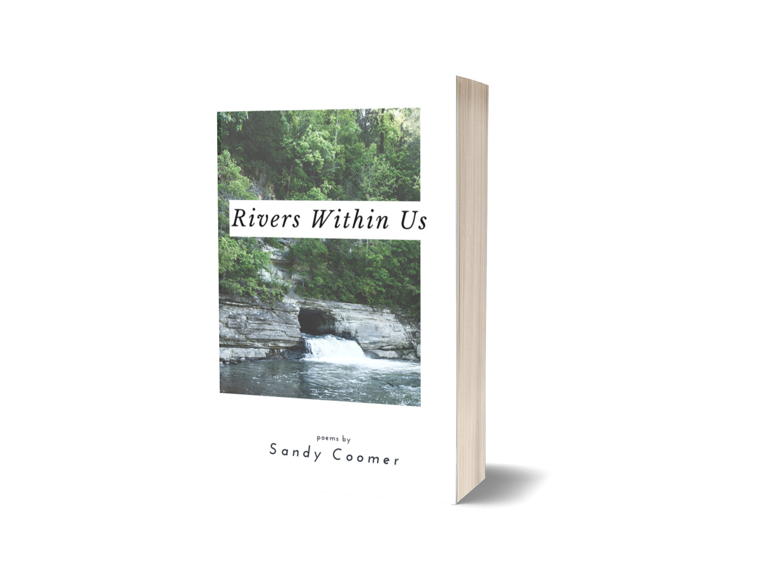 Rivers Within Us by Sandy Coomer